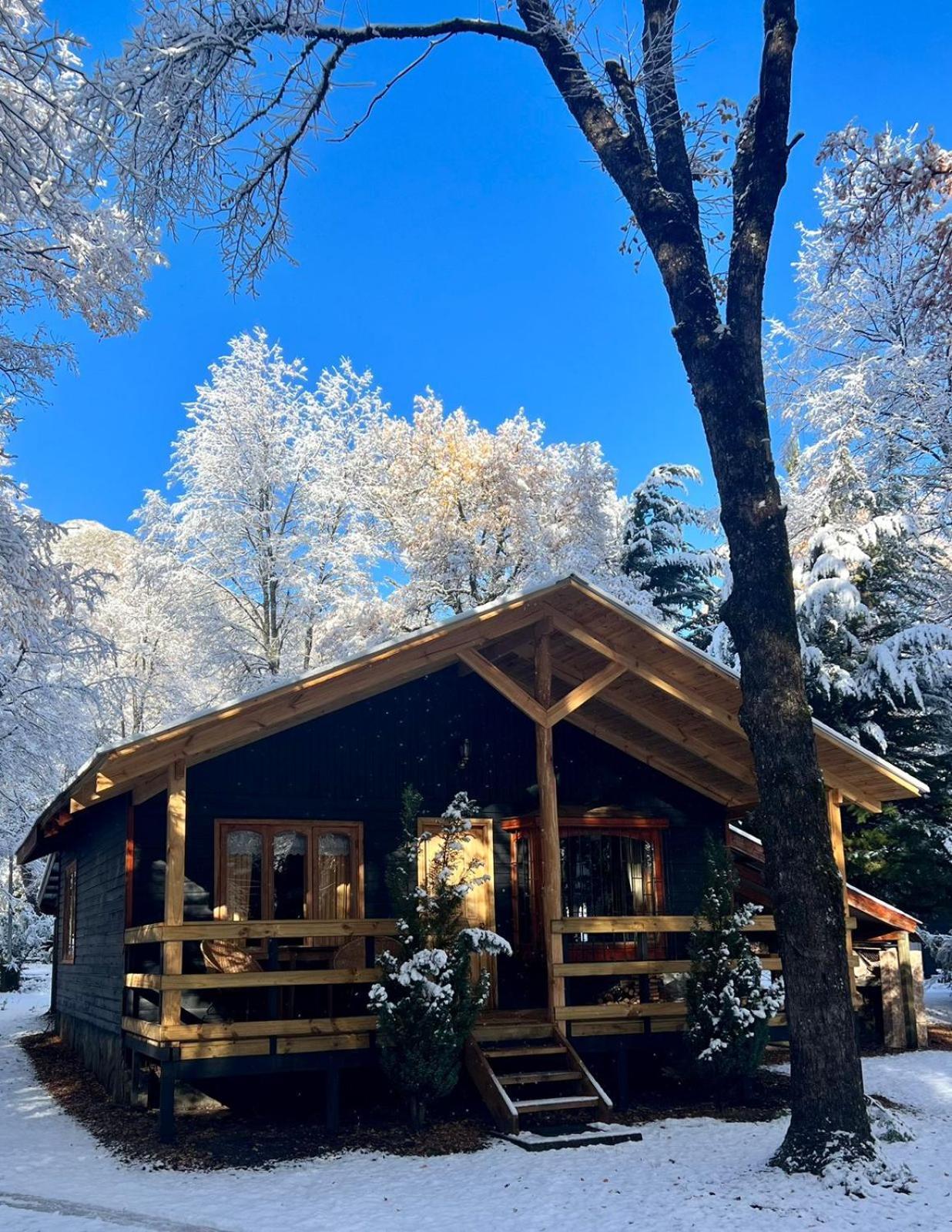 Cabanas Bosque Лас-Транкас Екстер'єр фото